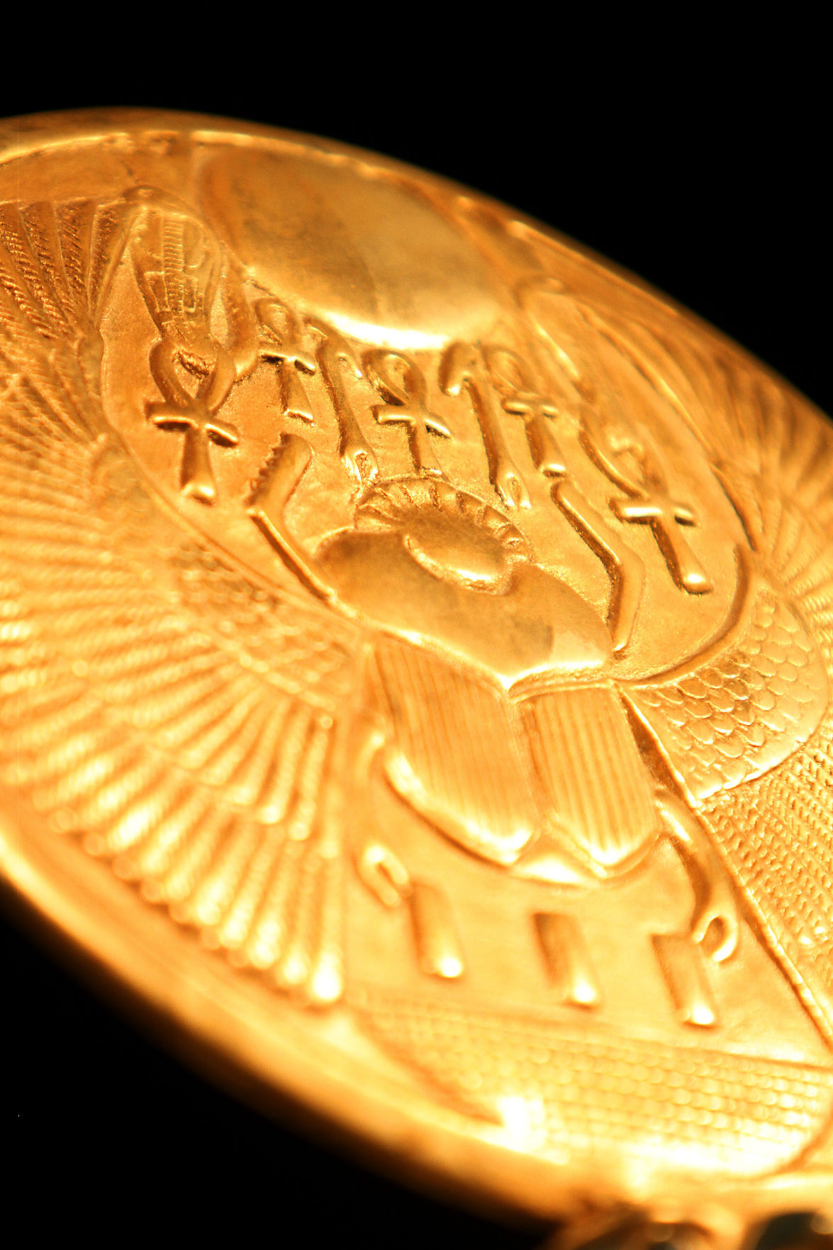 The Discovery of King Tut